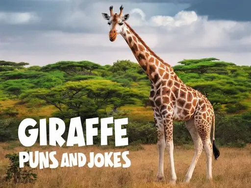Giraffe Puns and Jokes